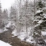 Butterfly By The Creek * Tržič