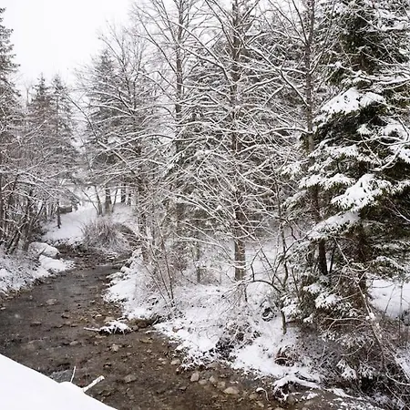 Butterfly By The Creek * Trzic