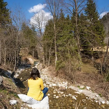 Butterfly By The Creek
