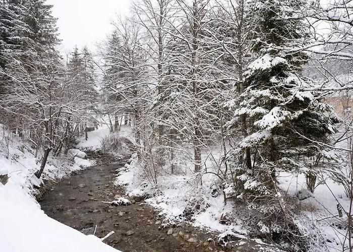 Butterfly By The Creek * Tržič
