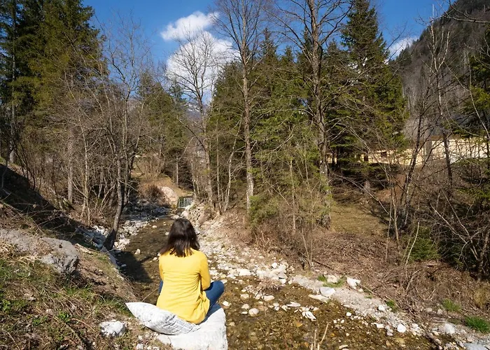 Butterfly By The Creek